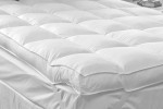 Duck Feather King Mattress Toppers for Sale -