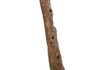 Teakroot Wine Rack Tree -