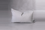 Windward Cinder - Duck Feather Scatter Cushion -