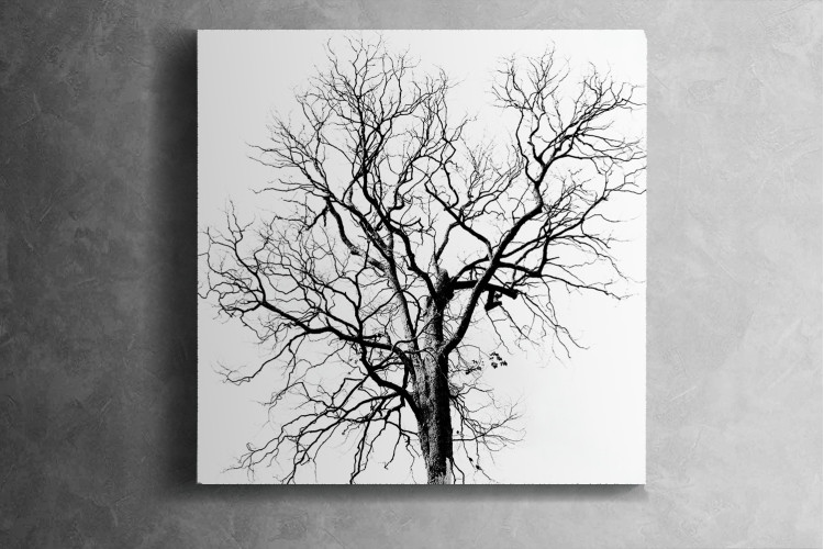 Barren Winds Canvas Art - 2