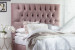 Catherine Bed - Double | Velvet Pink