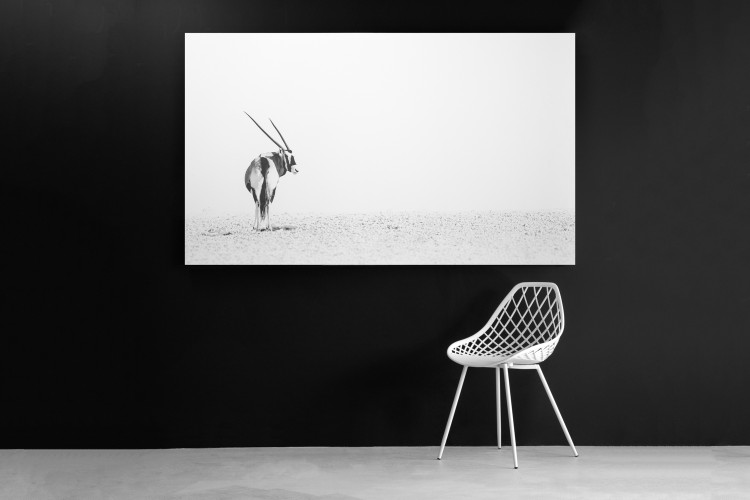 Gemsbok Desert Canvas Art - 1