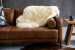 Brazilian Sheepskin Hides - 4