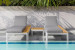 Santa Cruz Pool Lounger Set Sun and Pool Loungers - 1