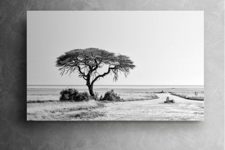 Etosha Canvas Decor - 1