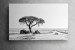 Etosha Canvas Decor - 2