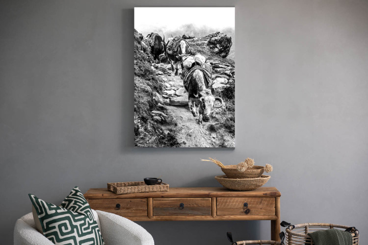 Sherpa Canvas Canvas Art - 1