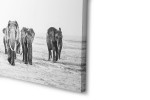 Elephant Walk Wall Art