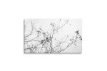 Beautiful Desolation Canvas Art