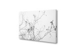 Beautiful Desolation Canvas Art