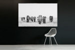 Elephant Walk - Large | Wall Art  -